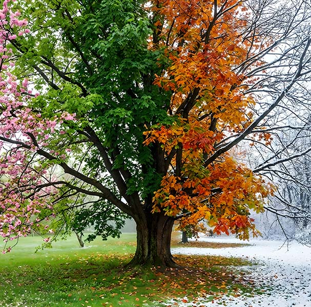 3Skotsel av utemiljoer1