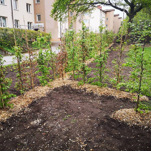 Skotsel av utemiljoer-09